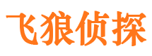 重庆市私家侦探